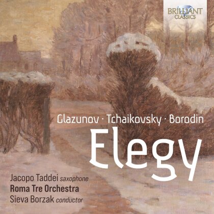 Roma Tre Orchestra, Alexander Glazunov (1865-1936), Peter Iljitsch Tschaikowsky (1840-1893), Alexander Borodin (1833-1887), Sieva Borzak, … - Elegy