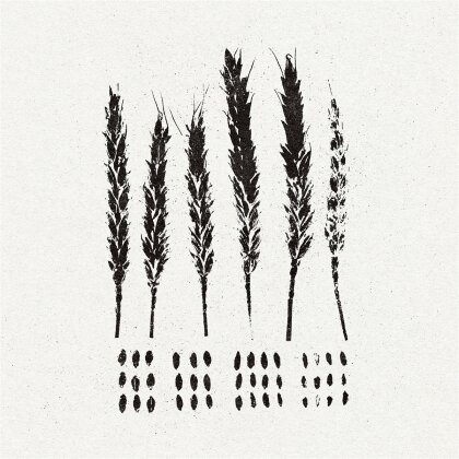 Lo! - Gleaners (Black Vinyl, LP)