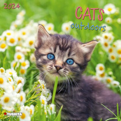 Cats Outdoors 2024