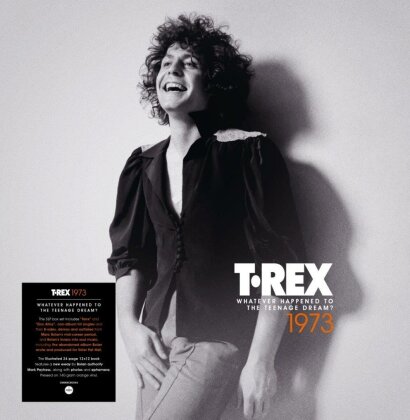 T. Rex (Tyrannosaurus Rex) - Whatever Happened To The Teenage Dream (140 Gramm, Demon Records, Orange Vinyl, 5 LPs)