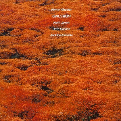 Kenny Wheeler - Gnu High (LP)