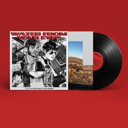 Water From Your Eyes - Everyone's Crushed (LP)