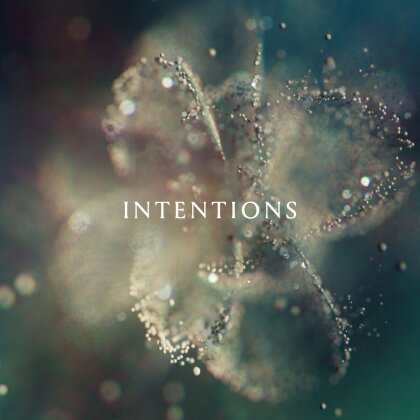 ANNA - Intentions (2 LPs)