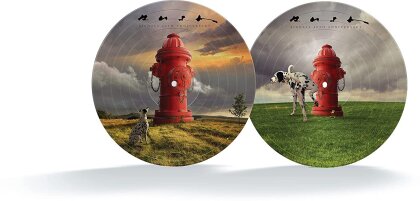 Rush - Signals (2023 Reissue, 190 Gramm, 40th Anniversary Edition, Limited Edition, Picture Disc, LP)