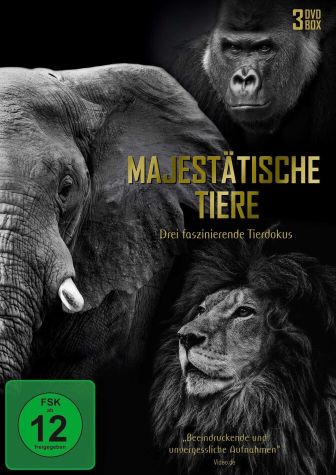 Majestätische Tiere - Drei faszinierende Tierdokus (3 DVDs)
