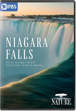 Niagara Falls (Nature)