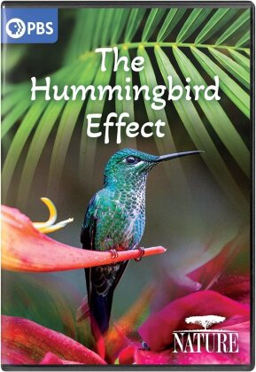 The Hummingbird Effect (Nature)