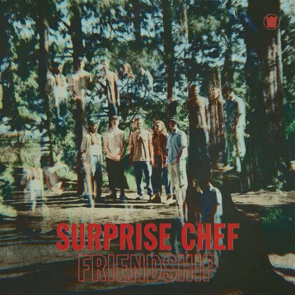 Surprise Chef - Friendship Ep (LP)