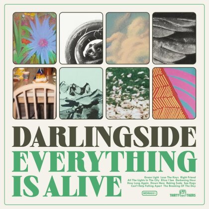Darlingside - Everything Is Alive (LP)
