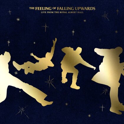 5 Seconds Of Summer - The Feeling Of Falling Upwards - Live (2 LPs)