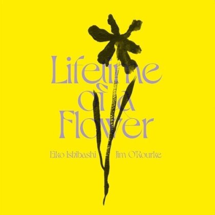 Jim O'Rourke & Eiko Ishibashi - Lifetime Of A Flower (LP)