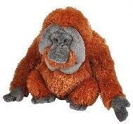 Plüsch Orangutan Cuddlekin