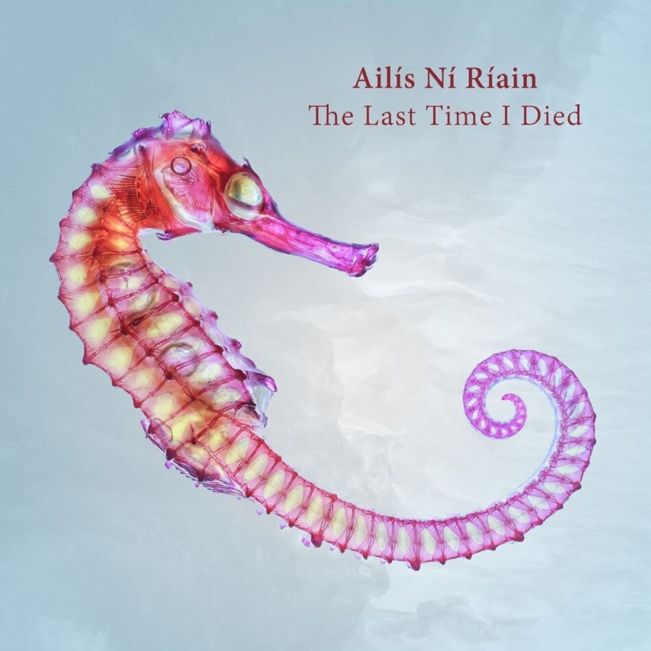Ailis Ni Riain - Last Time I Died