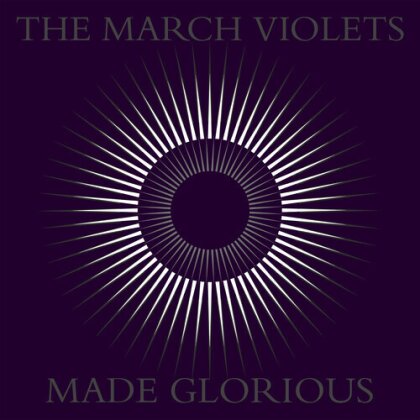 March Violets - Made Glorious
