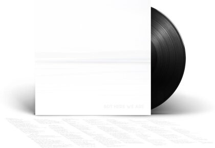Foo Fighters - But Here We Are (Black Vinyl, LP)