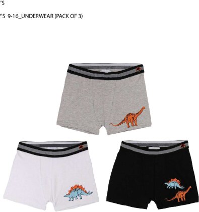 Jurassic Park 9-16 boys boxers 3pck - Taille 15/16y