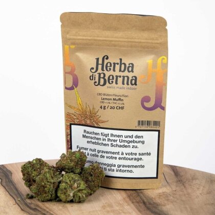 Herba di Berna Muffin al limone (4g) - Indoor (CBD: 12%, THC: 0.4%, CBG: 0.3%)