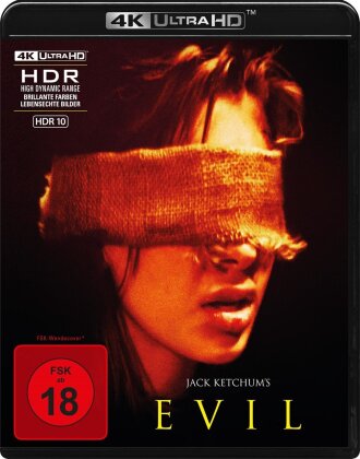 Evil (2007)