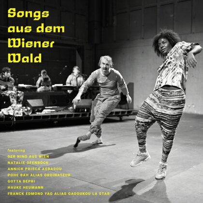 Der Nino Aus Wien, Natalie Ofenböck & Gadoukou La S - Songs aus dem Wiener Wald (12" Maxi)