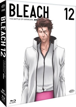 Bleach - Arc 12: The Battle of Karakura (First Press Limited Edition, 3 Blu-ray)