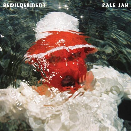 Pale Jay & Okonski - Bewilderment (LP)
