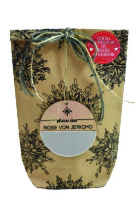 Wundertüte / Pflanz eine Rose von Jericho