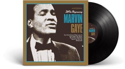 Marvin Gaye - In The Beginning (LP)