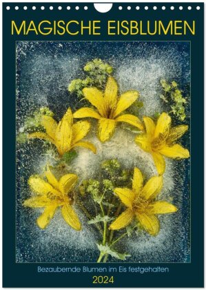 Magische Eisblumen (Wandkalender 2024 DIN A4 hoch) - CALVENDO Monatskalender