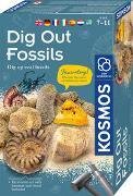MBE Dig Out Fossils INT