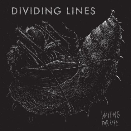 Dividing Lines - Waiting For Life (LP)