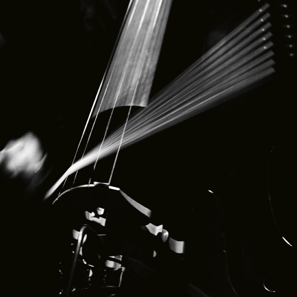 Arnold Dreyblatt & Orchestra Of Excited Strings - Resolve LP
