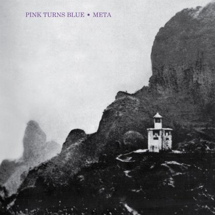 Pink Turns Blue - Meta (Coke Bottle Clear Vinyl, LP)