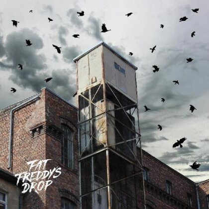 Fat Freddy's Drop - Blackbird Returns (2 LPs)