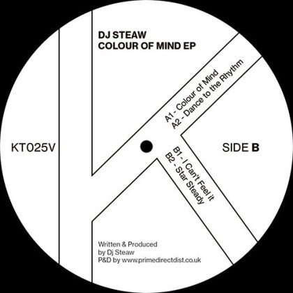 DJ Steaw - Colour Of Mind (12" Maxi)