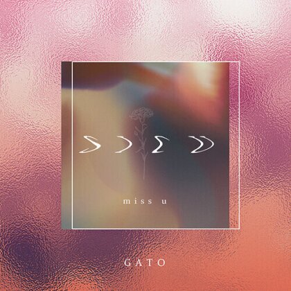 Gato - Miss U / Luvsick (Kazuki Matsumoto Remix) (Limited Edition, 7" Single)