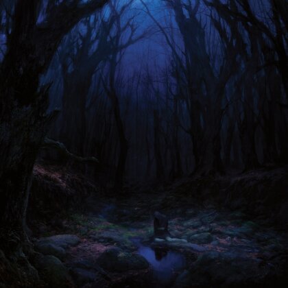 Woods Of Desolation - Torn Beyond Reason (2023 Reissue, Season Of Mist)