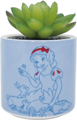 Disney: Snow White - Plant Pot Faux Boxed 6.5cm