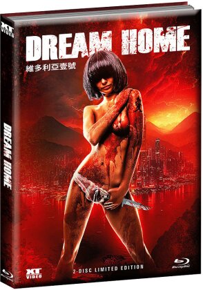 Dream Home (2010) (Wattiert, Limited Edition, Mediabook, Uncut, Blu-ray + DVD)