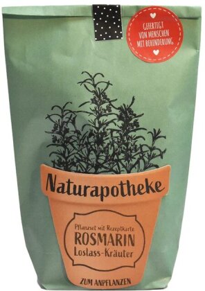 Naturapotheke / Rosmarin - zum Anpflanzen