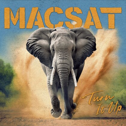 Macsat - Turn It Up (Crystal Clear Vinyl, LP)