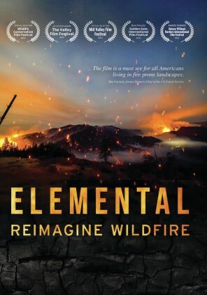 Elemental: Reimagine Wildfire (2023)