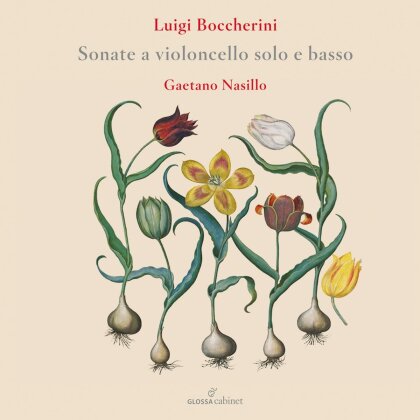 Luigi Boccherini (1743-1805) & Gaetano Nasillo - Sonate a violoncello solo e basso (2 CDs)