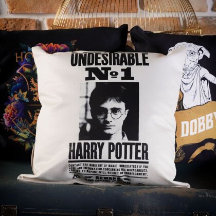 Wizarding World - Harry Potter - Coussin - Undesirable No 1, Harry Potter