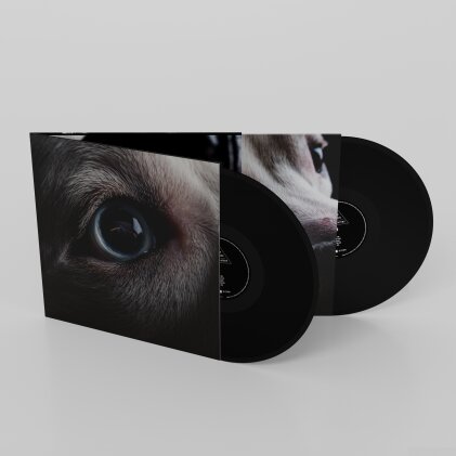 Roger Waters - Dark Side Of The Moon Redux (Black Vinyl, 140 Gramm, Gatefold, 2 LPs)