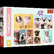 Puzzle 160 - Hunde Collage