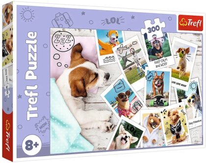 Puzzle 300 - Hunde Urlaubsfotos