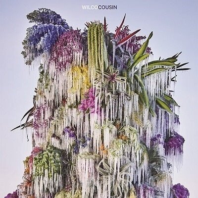 Wilco - Cousin Blu-Spec CD, Japan Edition