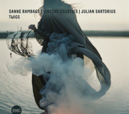 Vincent Courtois & Sanne Rambags - Twigs