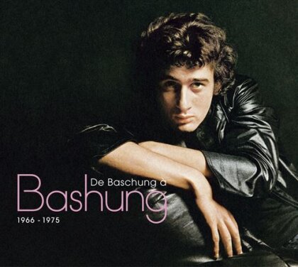 Alain Bashung - De Baschung A Bashung (2 CD)