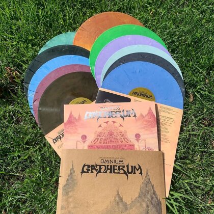 King Gizzard & The Lizard Wizard - Omnium Gatherum (2023 Reissue, Limited Edition, Lucky Rainbow Vinyl, 2 LPs)